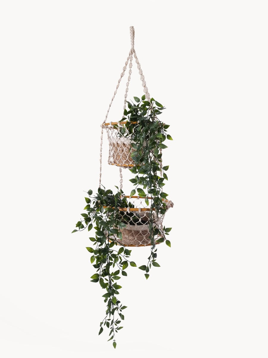 Hanging plant holder with green plants on a white background