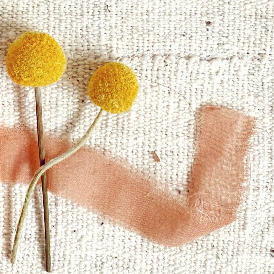 Two yellow flowers on a textured beige background