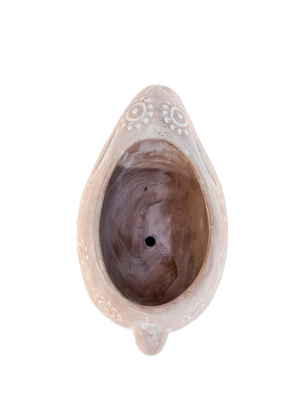 Decorative shell with a wooden interior on a white background