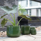 A set of glossy dark green ceramic planters in different sizes, with a large green leafy plant in the biggest pot, photographed outdoors on a paved patio with a blurred modern building in the background.