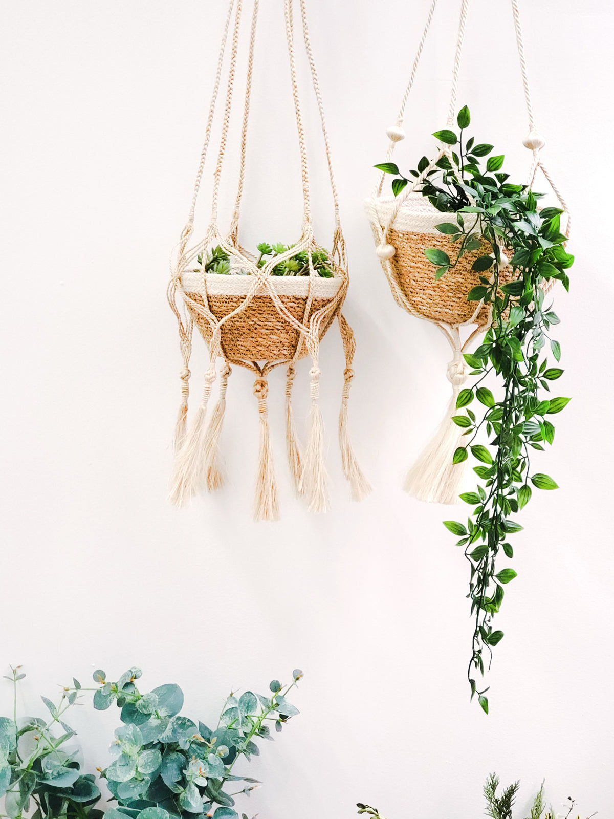 Two macrame plant hangers with plants against a white wall