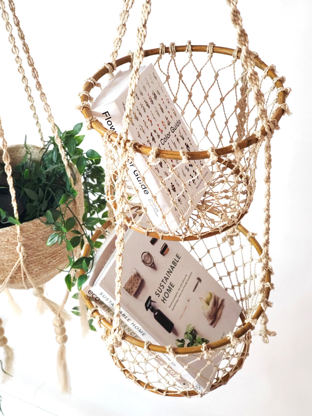 Hanging basket with books and a plant on a white background