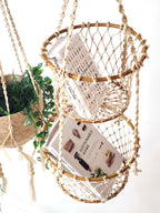 Hanging basket with books and a plant on a white background