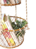 Hanging basket with books and a plant on a white background