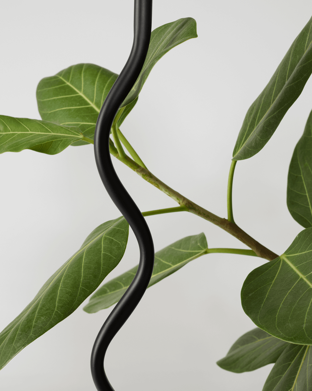 Black metal curvy lamp rod with a green leafy branch against a light gray background