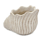 Textured ceramic planter on a white background