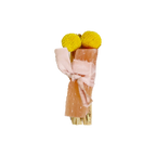 Two yellow pom-poms tied with a pink ribbon on a white background