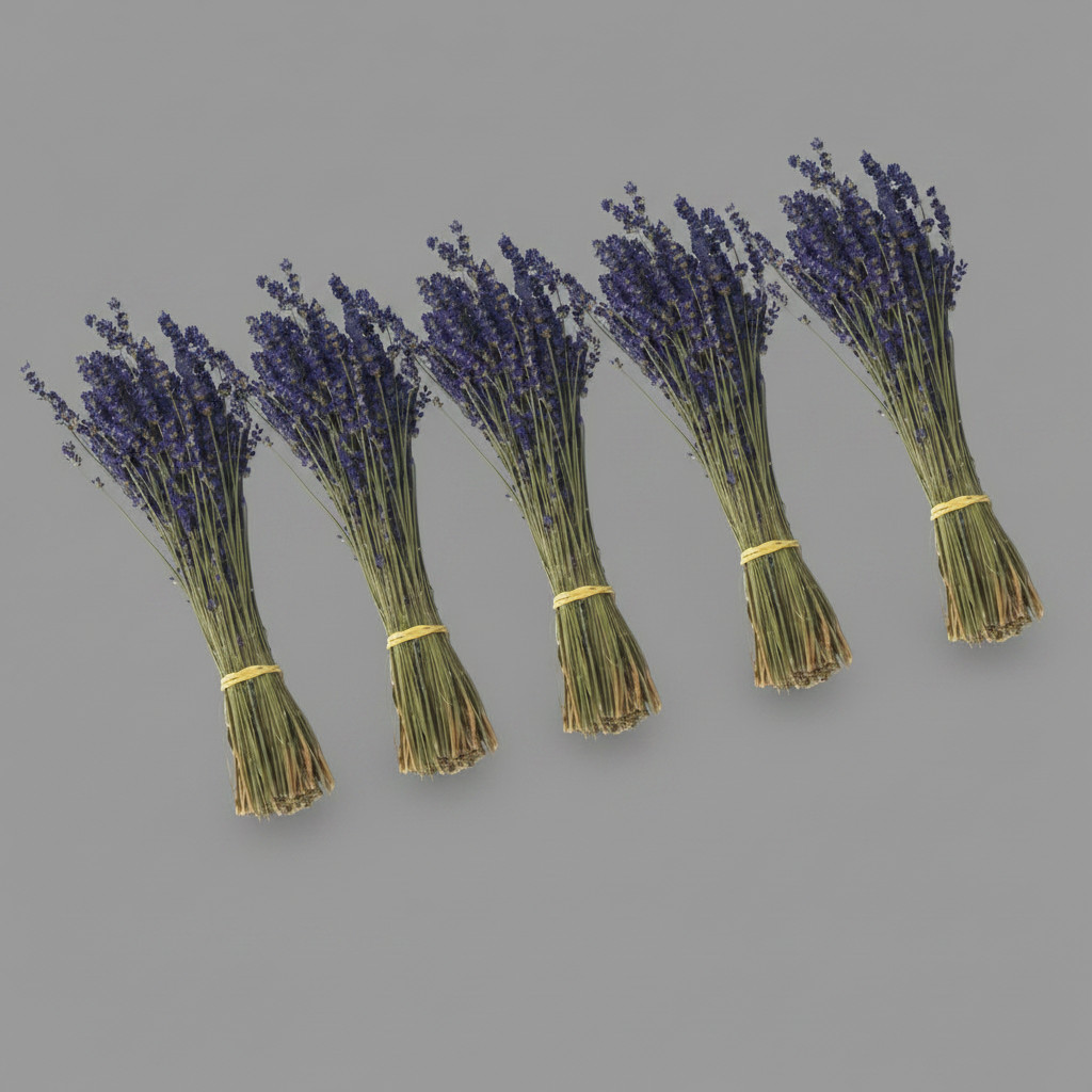 Five bundles of lavender tied with yellow ribbons on a gray background