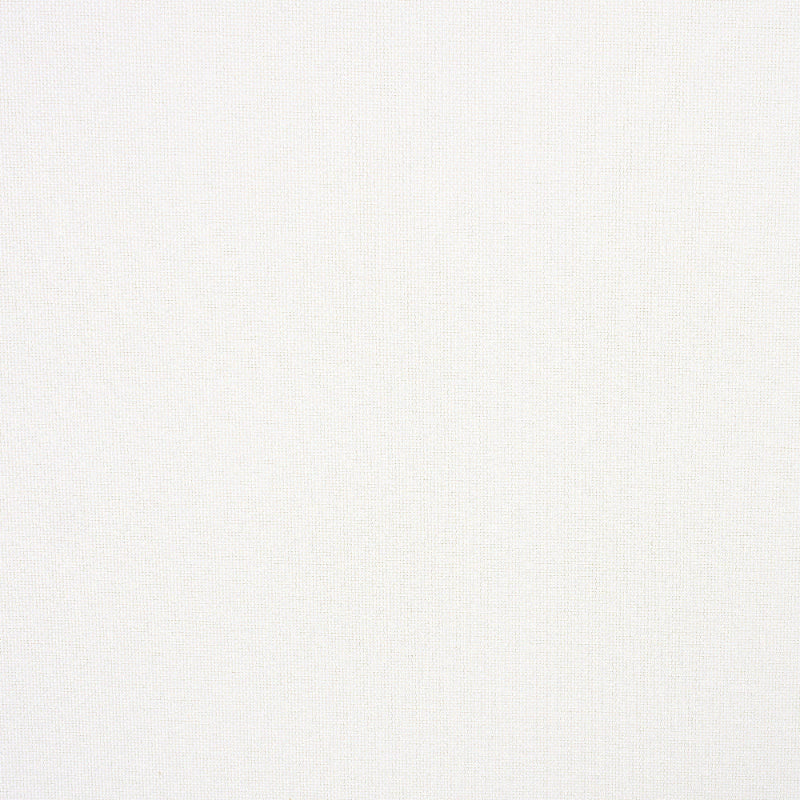 Solid light gray color swatch