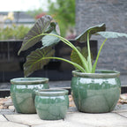 Three green glazed ceramic planters arranged on a stone patio, with the largest pot holding a leafy tropical plant. The background shows a blurred outdoor garden setting with a gray stone wall.