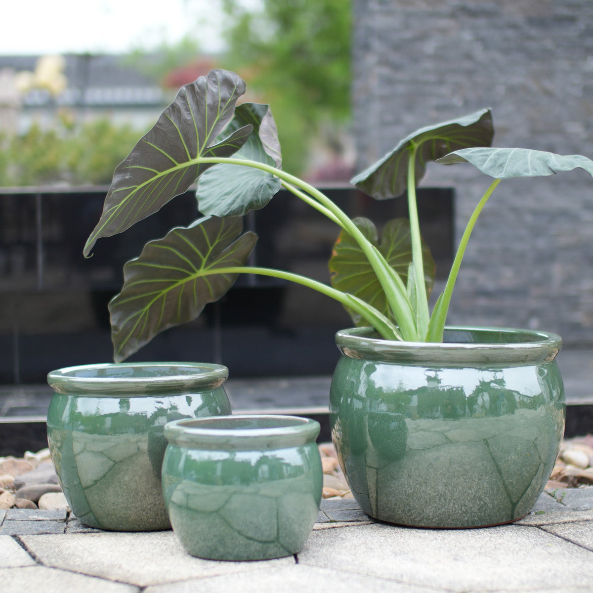 Three green glazed ceramic planters arranged on a stone patio, with the largest pot holding a leafy tropical plant. The background shows a blurred outdoor garden setting with a gray stone wall.