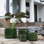 Four glossy dark green ceramic planters in graduated sizes arranged on a stone patio outdoors, with a potted Alocasia plant as a styling prop in the foreground and a blurred modern house in the background.