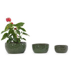 Three dark green textured ceramic planters in a graduated size set, with the largest pot on the left shown containing a green leafy plant with red flowers, against a plain white background.