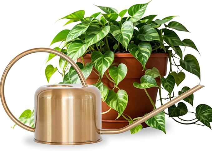 Potted plant with a bronze watering can on a white background
