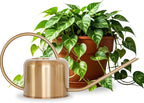 Potted plant with a bronze watering can on a white background