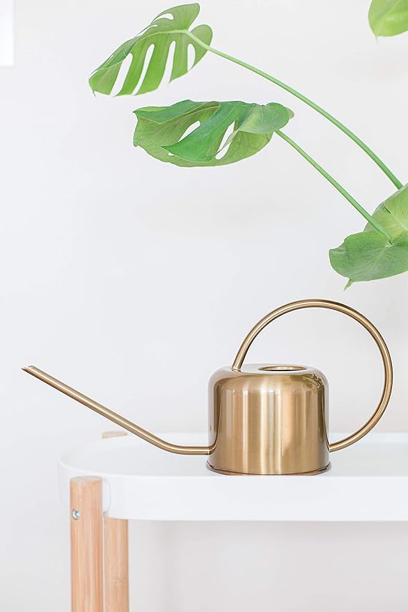 Gold watering can on a white surface with green leaves in the background