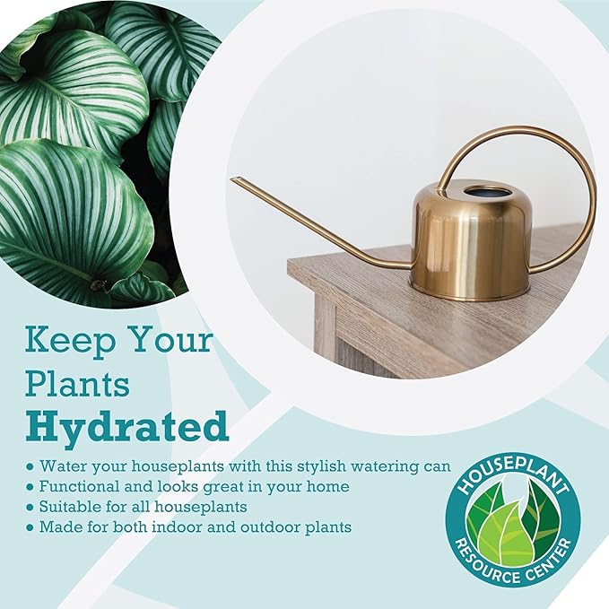 Brass watering can on a wooden surface with text about keeping plants hydrated and a houseplant resource center logo.