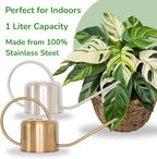 Metal watering cans with a plant on a light background