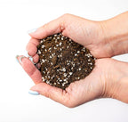 Hand holding a small ball of potting soil with small white perlite on a white background