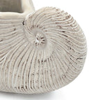 Decorative white shell on a light gray background