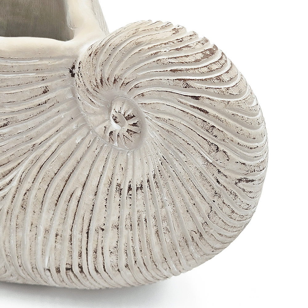 Decorative white shell on a light gray background