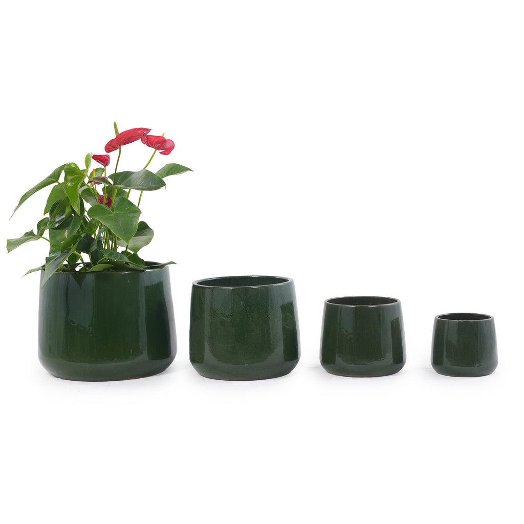 Four dark green glazed ceramic planters in graduated sizes, with a potted red anthurium plant in the largest pot, photographed on a clean white background.