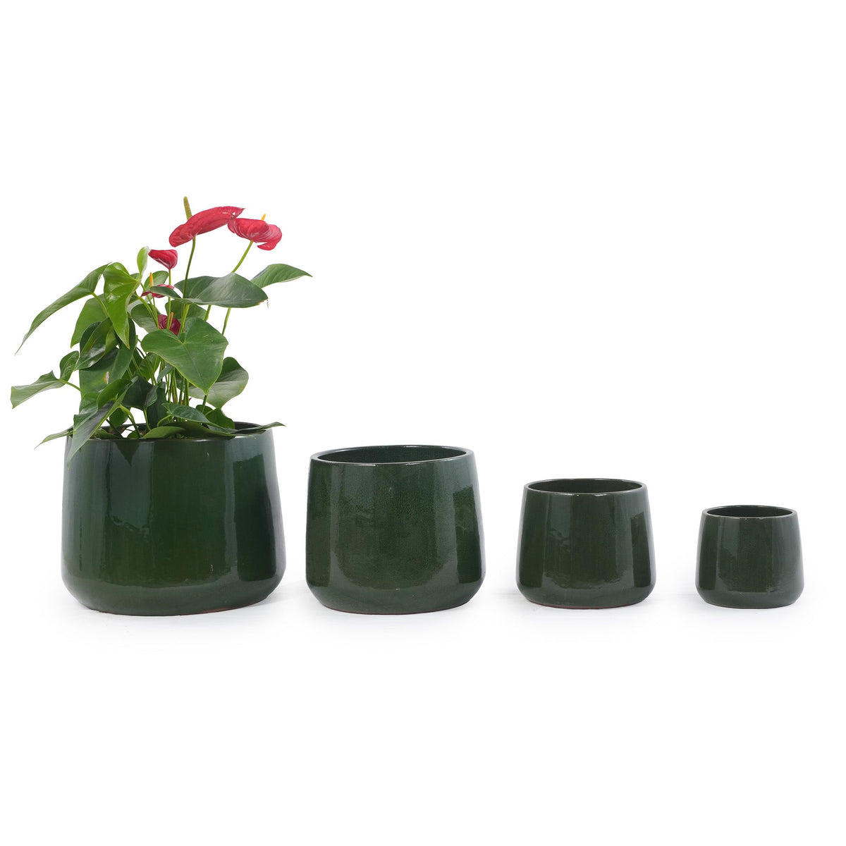 Four dark green glazed ceramic planters in graduated sizes, with a potted red anthurium plant in the largest pot, photographed on a clean white background.
