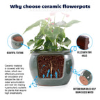 An infographic explaining the benefits of choosing a ceramic flowerpot, featuring a central planter with a green plant, cutaway details showing tiny drainage holes and breathable ceramic, and callout circles highlighting beautiful texture and filled tiny holes.