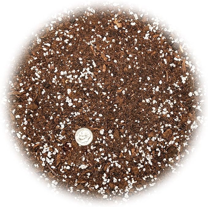 Close-up of a round container filled with brown soil and small white stones on a white background.
