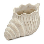 Ceramic vase shaped like a shell on a white background