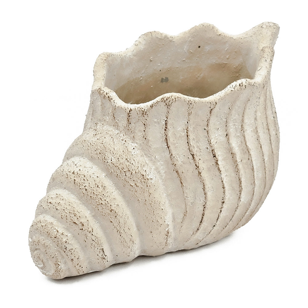 Ceramic vase shaped like a shell on a white background