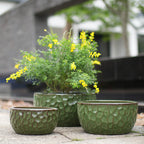 Three textured green ceramic planters of different sizes arranged on a stone surface, with a leafy green plant and small yellow flowers in the center planter, photographed outdoors with a blurred background.