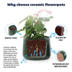 A dark green ceramic flowerpot with a plant and pink flowers, shown on a white background with callout circles and text explaining its features: beautiful texture, filled with tiny holes, and bottom drain holes.