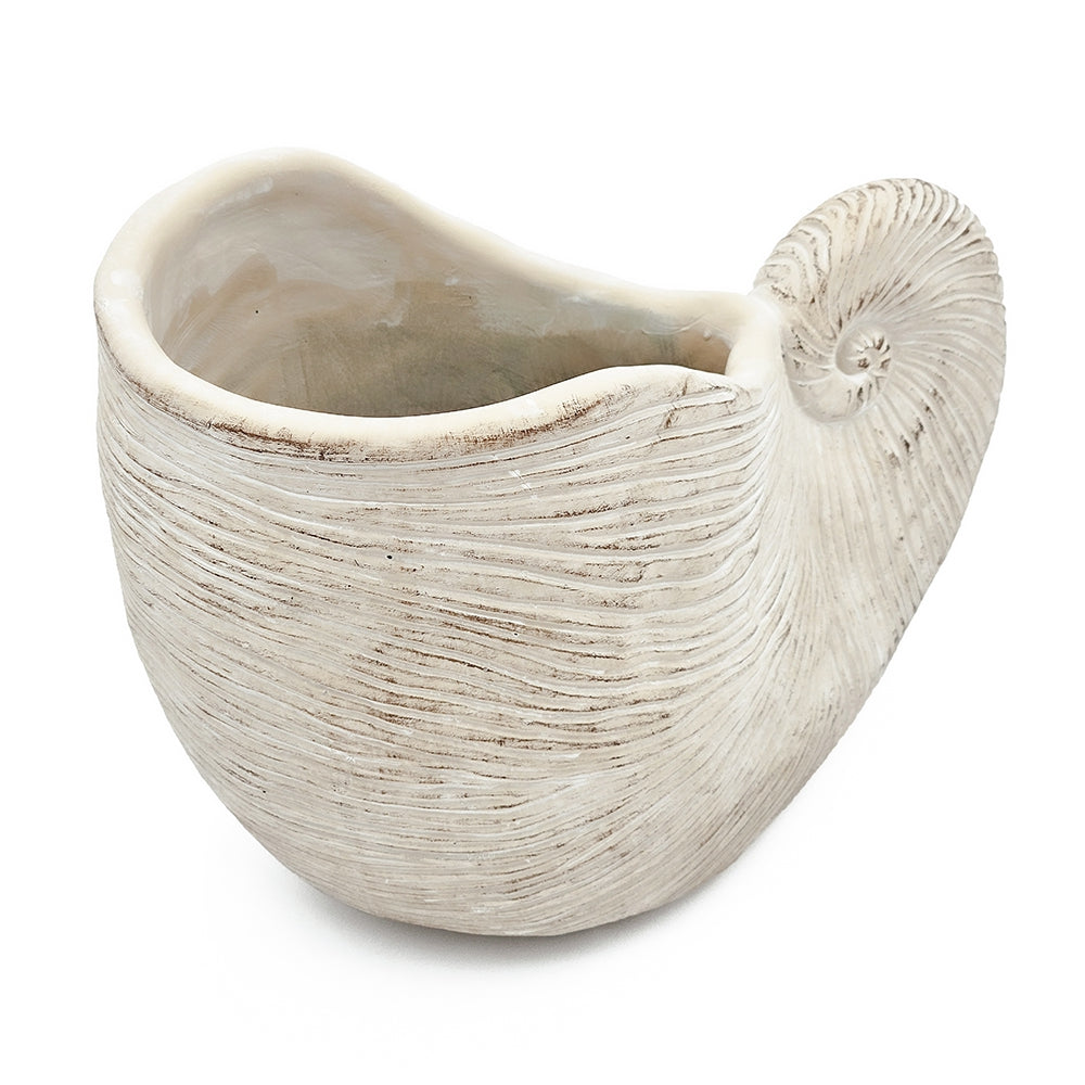 White ceramic shell-shaped planter on a white background