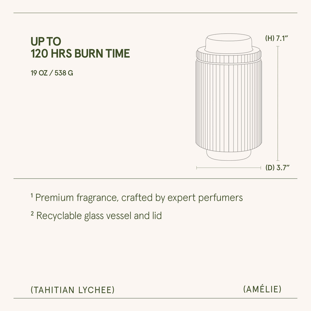 Product description with dimensions and features on a white background