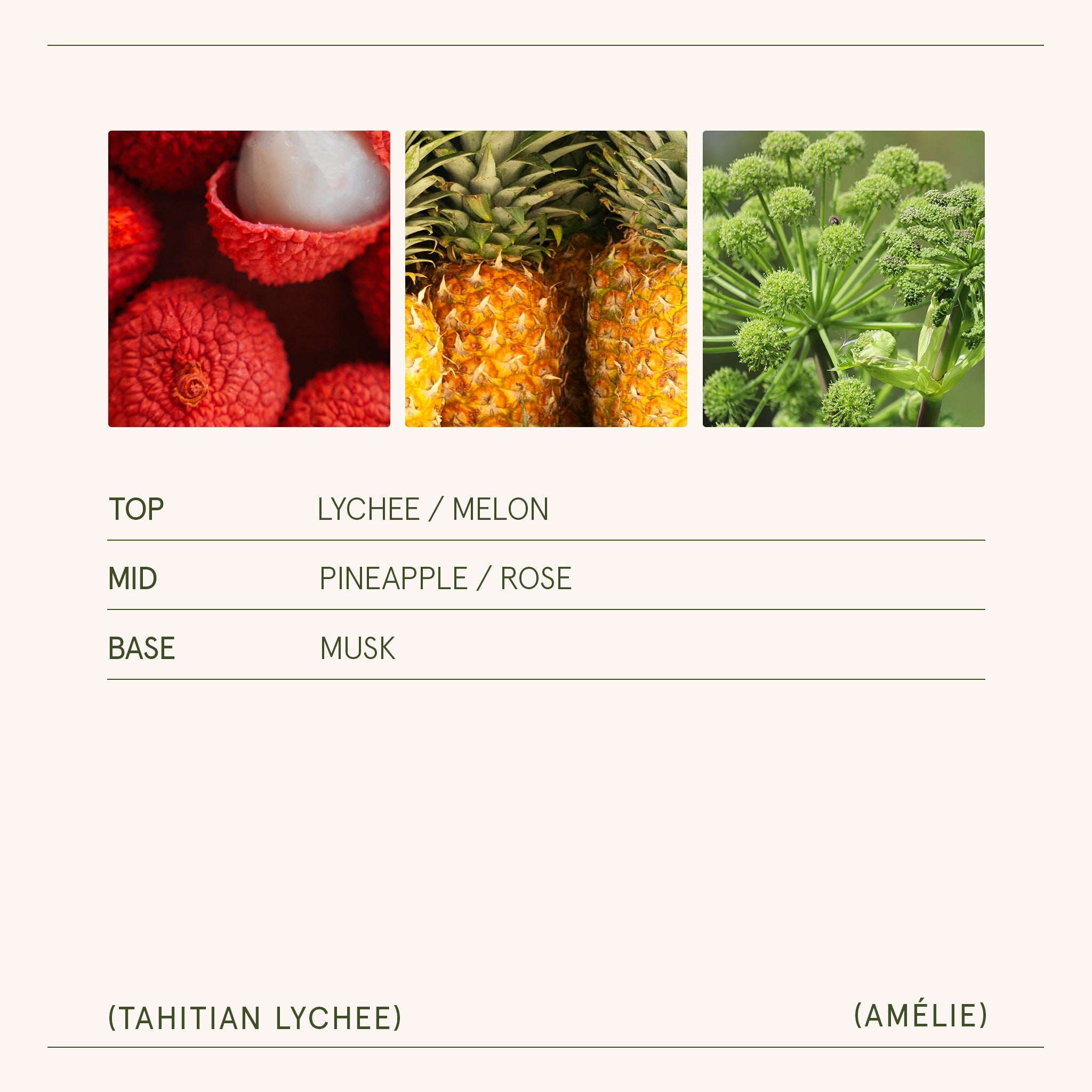 Product fragrance profile with images of lychee, pineapple, and rose, labeled as top, mid, and base notes.