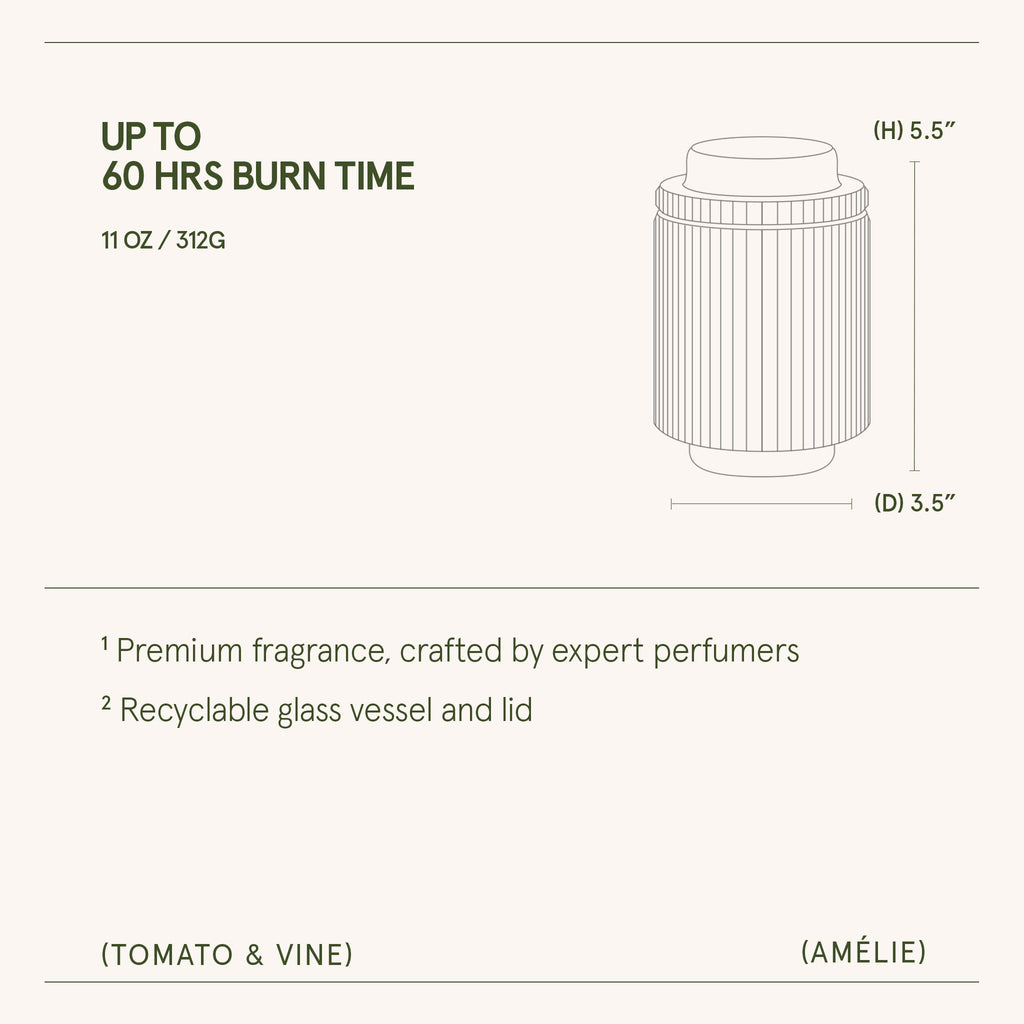 Product packaging with dimensions and features on a white background