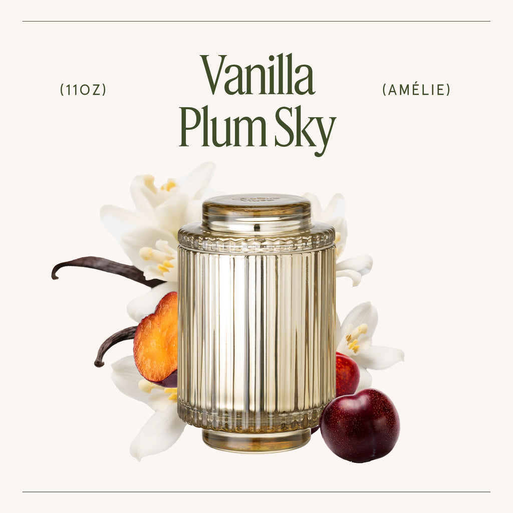 White candle jar with vanilla, plum, and flower elements on a white background