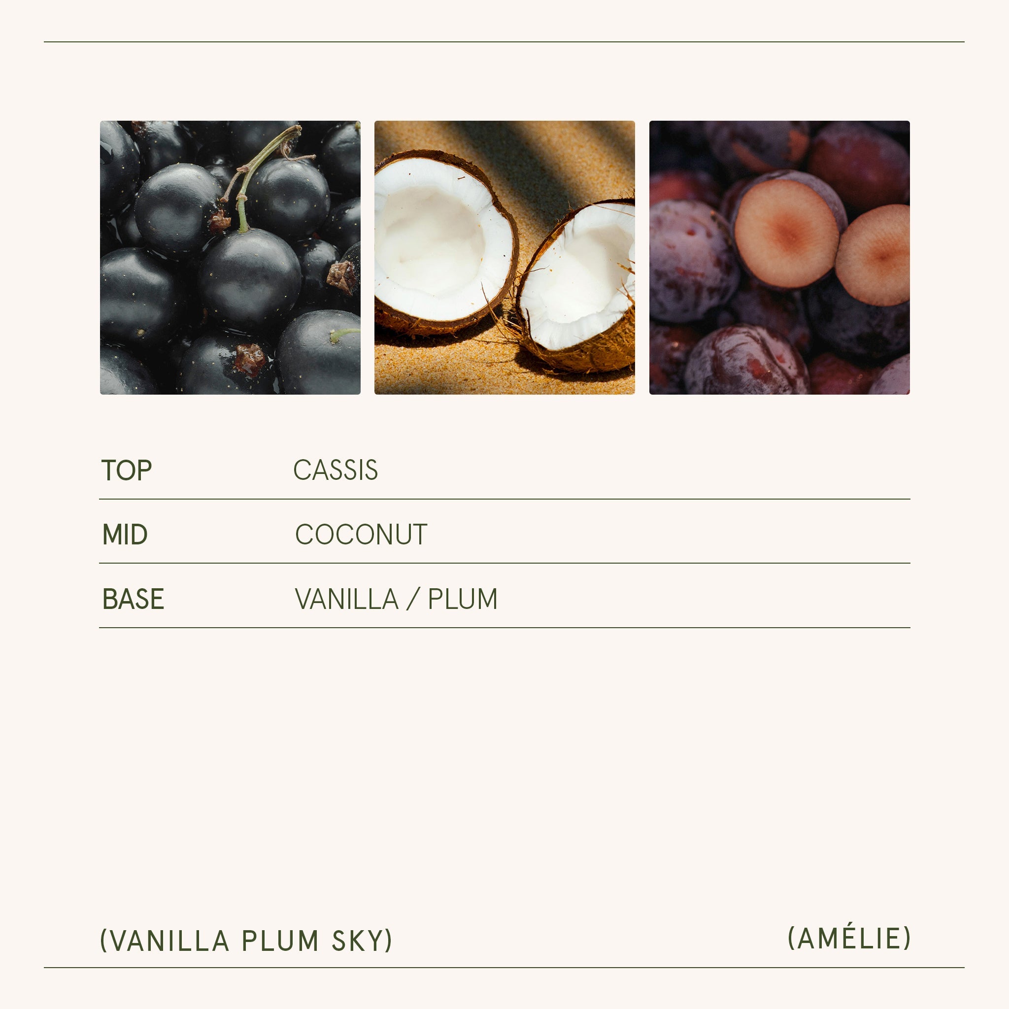 Three images of cassis, coconut halves, and plums with corresponding flavor names below.