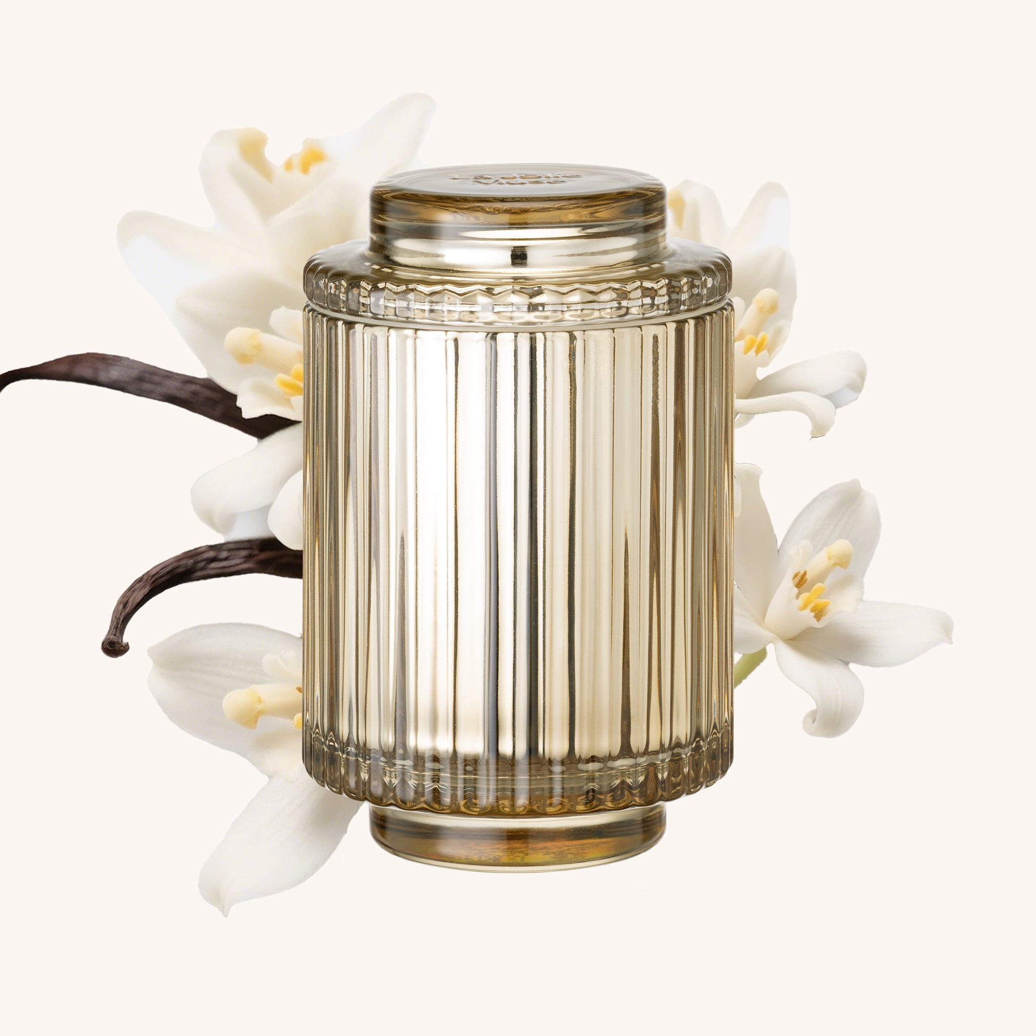Decorative glass candle container with vanilla beans and flowers on a white background