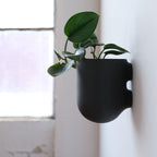 Black wall-mounted planter with a green plant against a white wall.