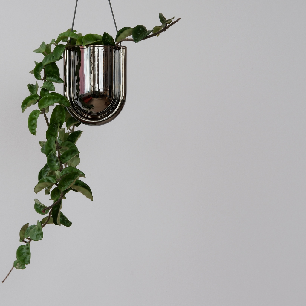 Portico Planter - Chrome
