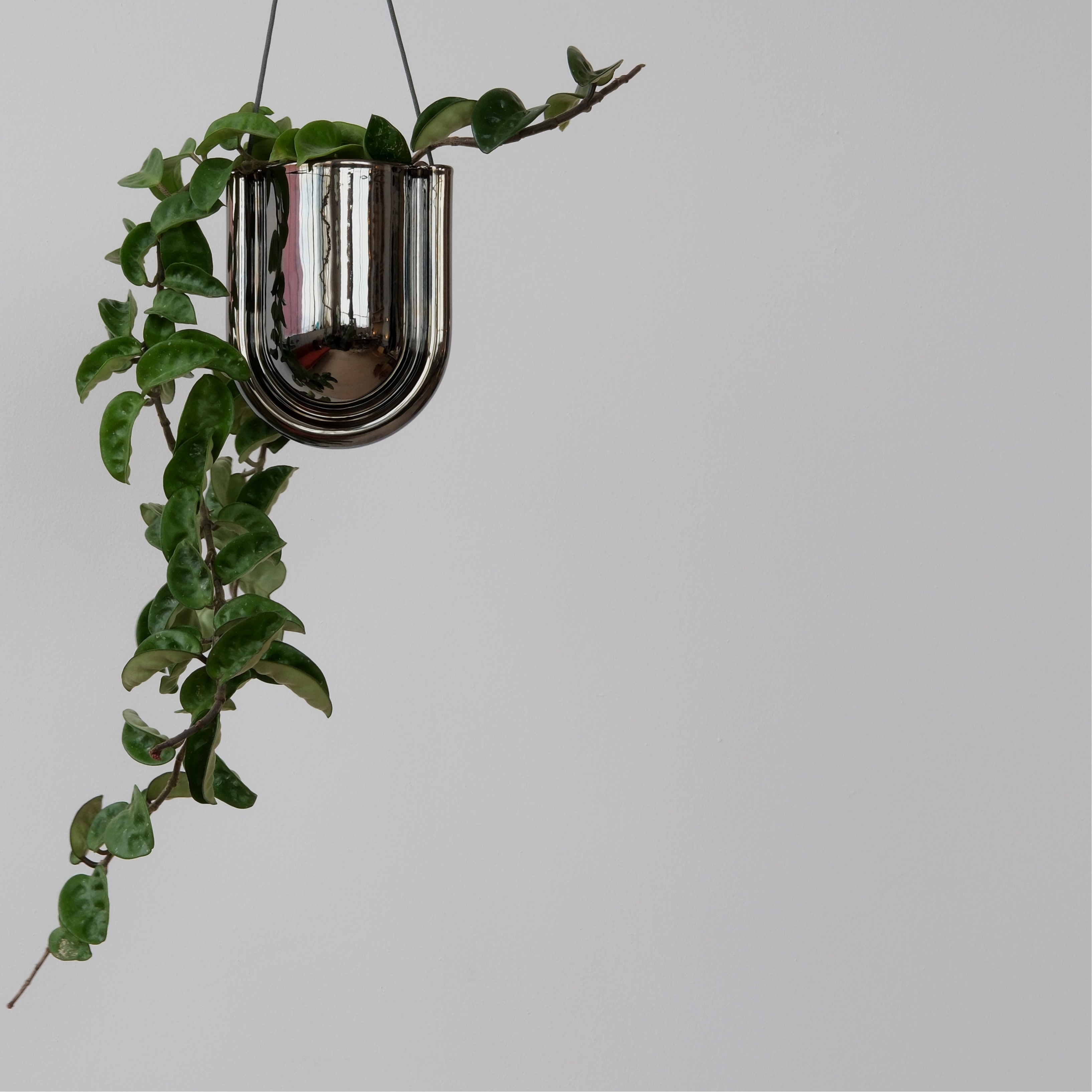 Portico Planter - Chrome