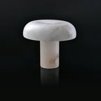 Marble mushroom-shaped object on a black background