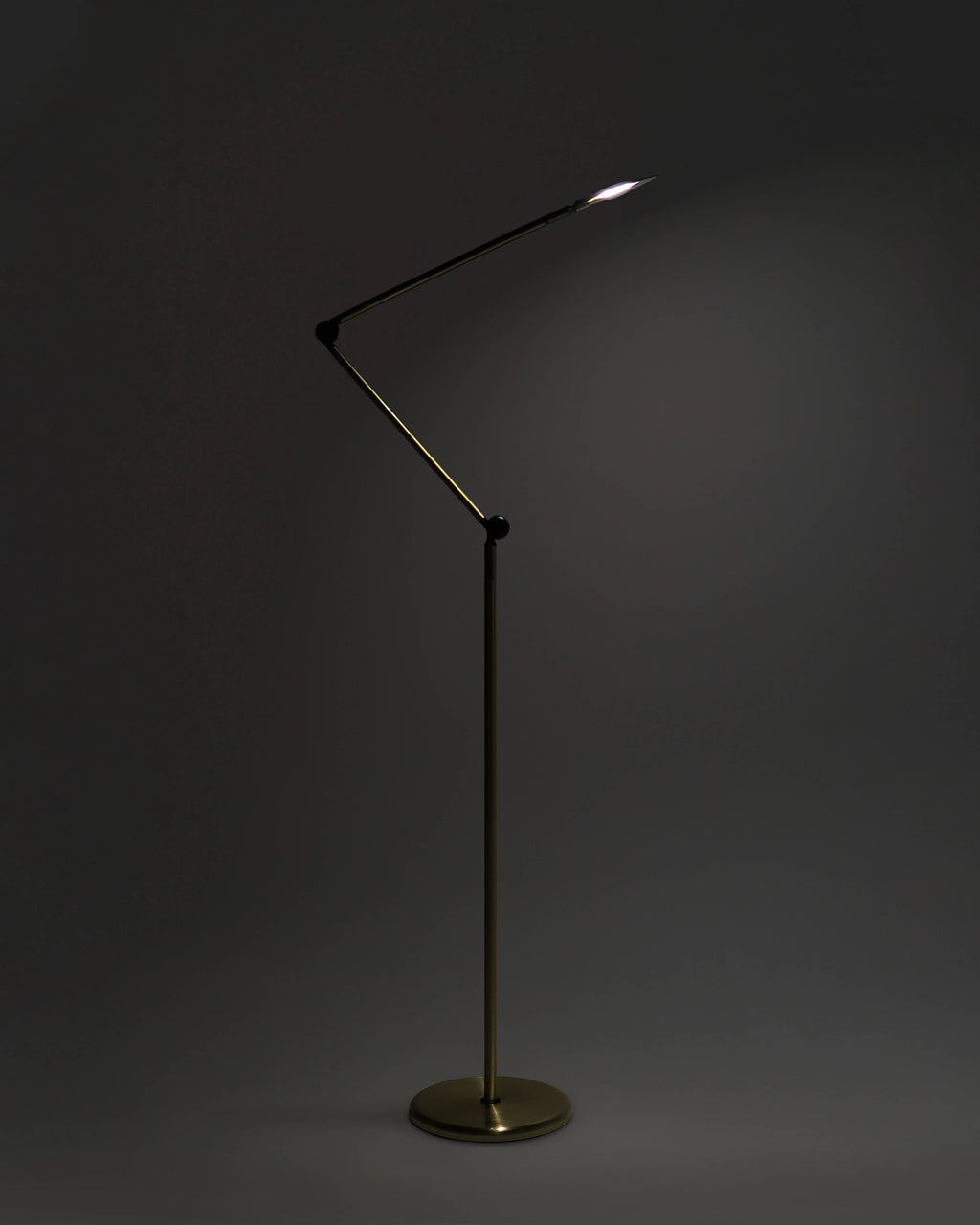 Floor lamp with a flexible arm on a dark background