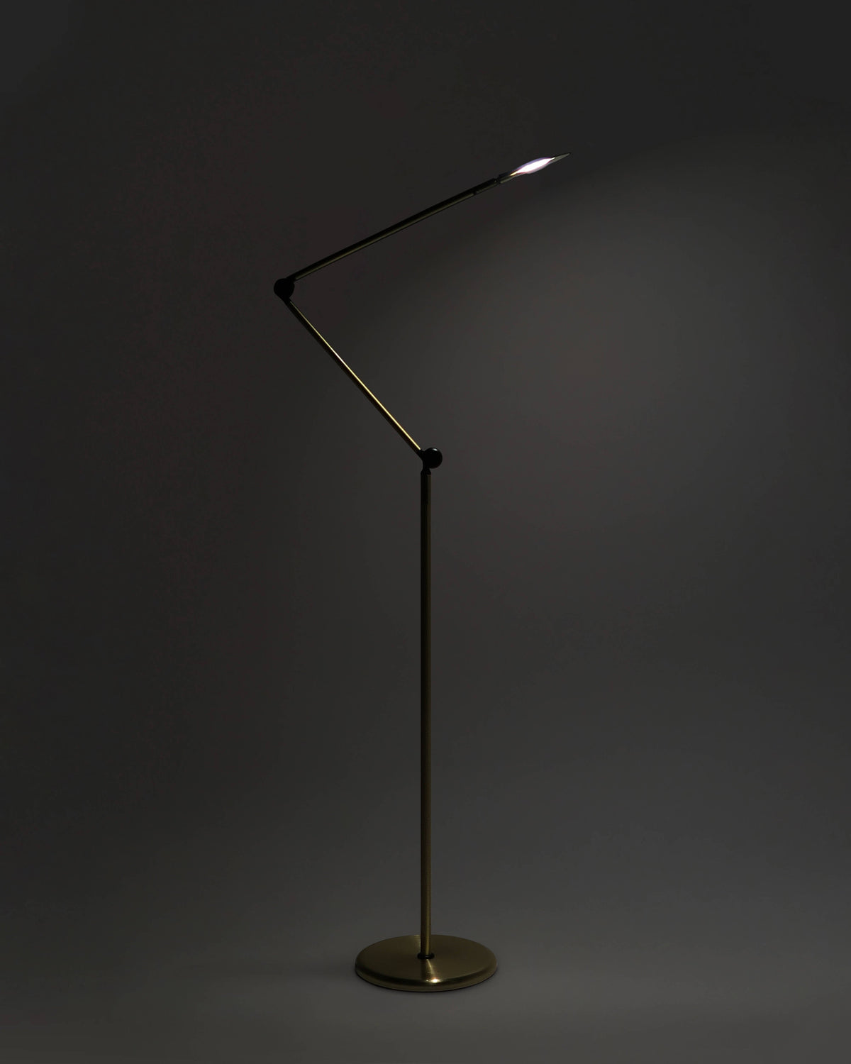 Floor lamp with a flexible arm on a dark background