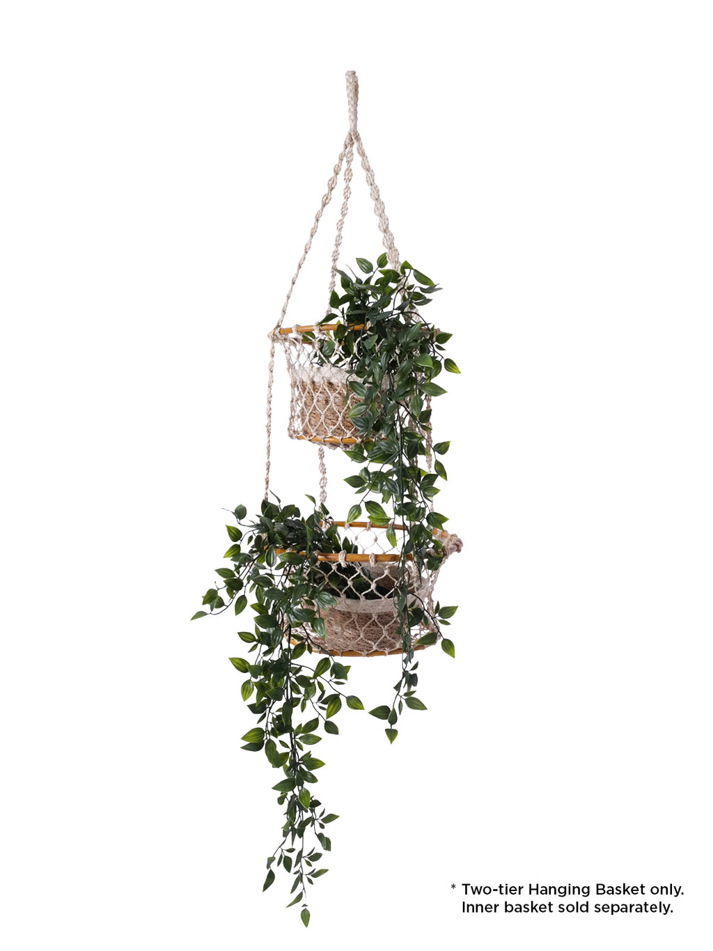 Two-tier hanging basket with plants on a white background