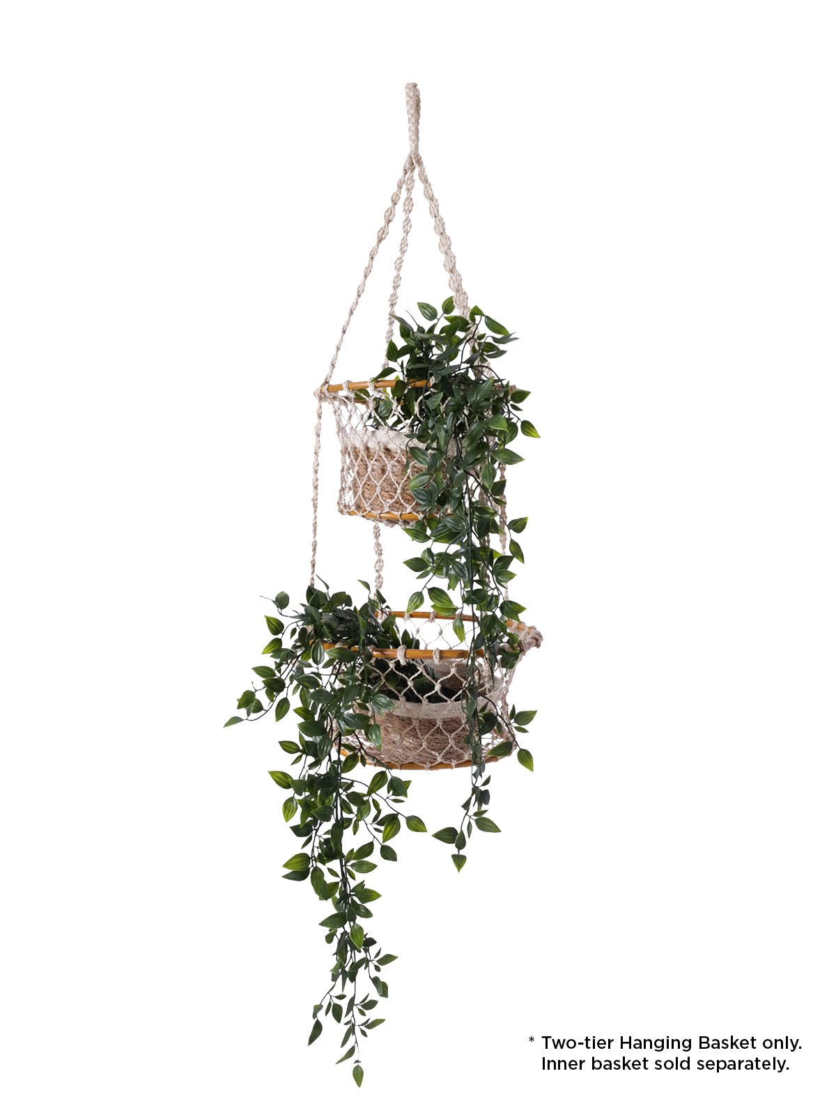 Two-tier hanging basket with plants on a white background