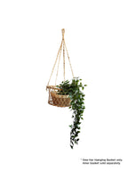 Panier suspendu simple Jhuri