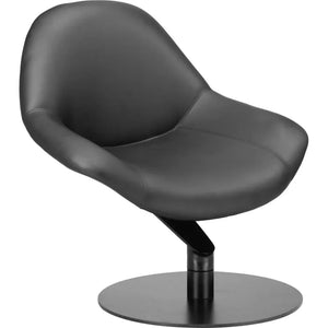 Poole Wood & Steel Black Accent Chair